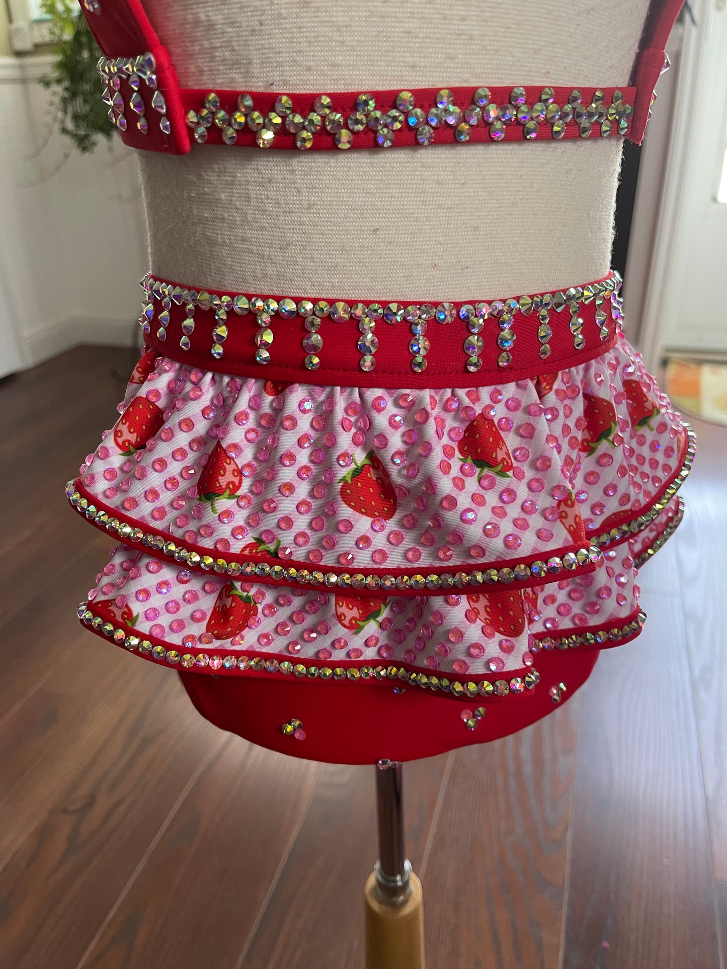 Size 6 Stage Ready Dance Costume