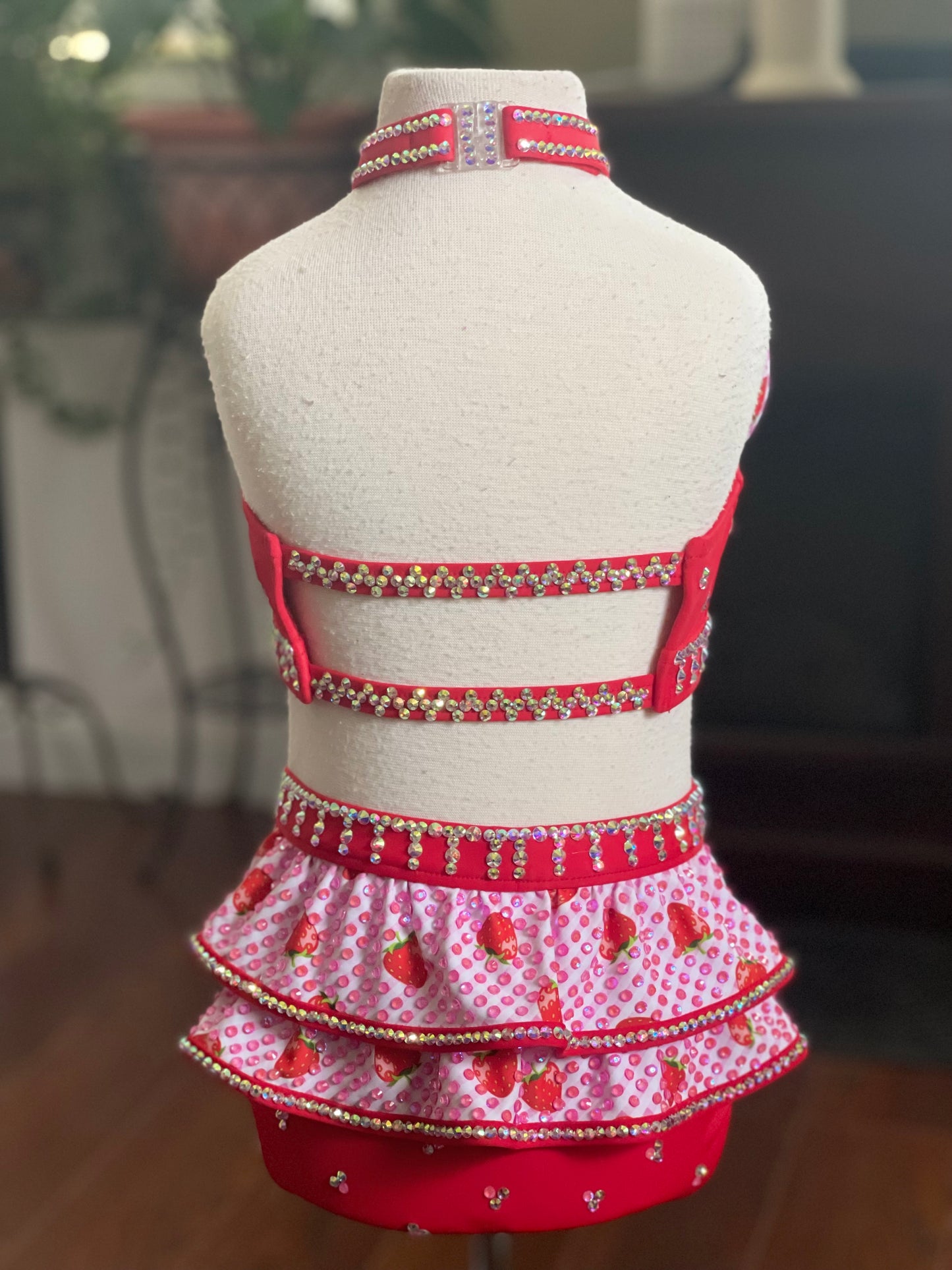 Size 6 Stage Ready Dance Costume
